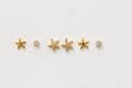 Starfish Earrings Set